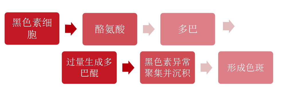 由于外界因素和体内因素造成黑色素细胞代谢紊乱,在表皮堆积造成色素